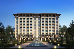 焦作网红梦,揭秘网络红人的崛起之路