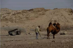 民勤好看的小姐姐电话,电话传情，美丽瞬间尽收眼底